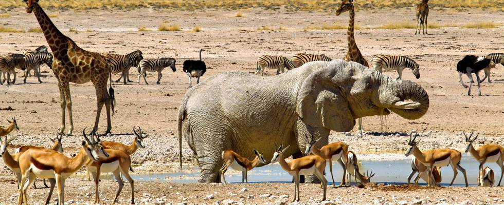 Namibia