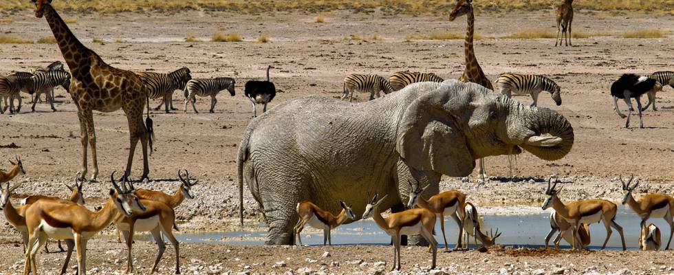 Namibia