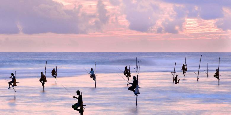 Lunas de miel a Sri Lanka