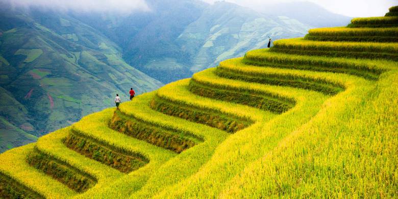 Lunas de miel a Vietnam