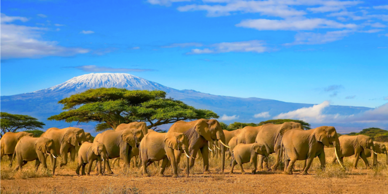 Safaris por paisajes volcánicos, naturaleza fascinante y playas exóticas