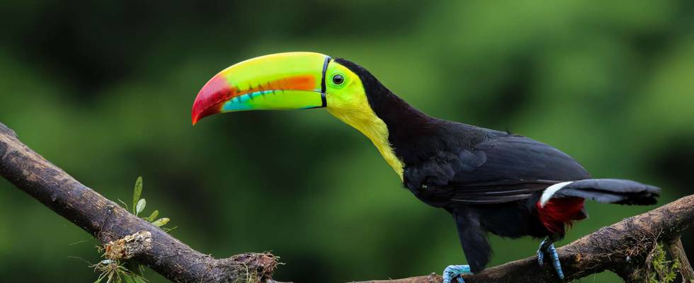 Costa Rica