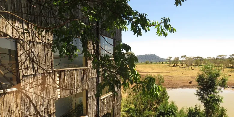 Treetops Lodge Nyeri