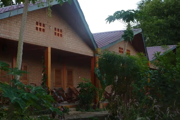 Orchidée du Bemaraha