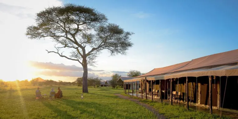 Thorn Tree Tented Camp