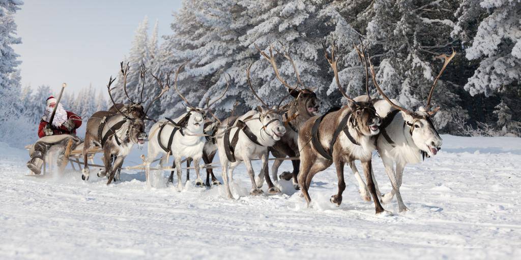 Planifica tu viaje a Laponia 5 días. Disfruta de la belleza de sus paisajes y el pueblo de Santa Claus. Vuelos y hoteles incluidos. 4