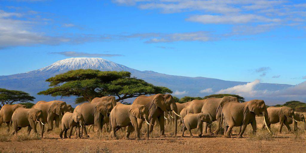 Este Safari en Kenia de 7 días te llevará por el corazón de África. Durante una semana, disfrutaremos de los safaris más impresionantes. 6