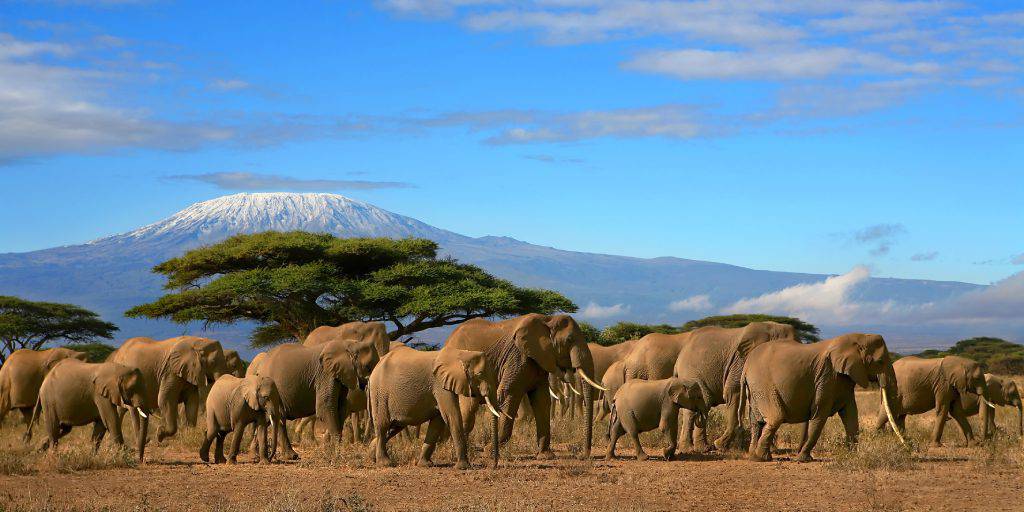 Este Safari en Kenia de 8 días te llevará por el corazón de África. Durante una semana, disfrutaremos de los safaris más impresionantes. 1