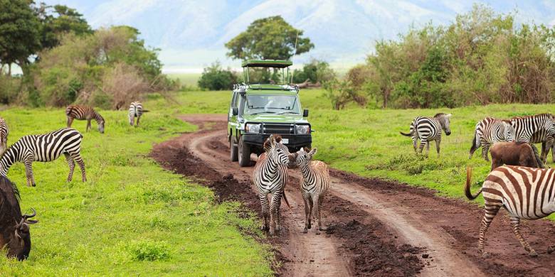 Viaje con safari por Tanzania