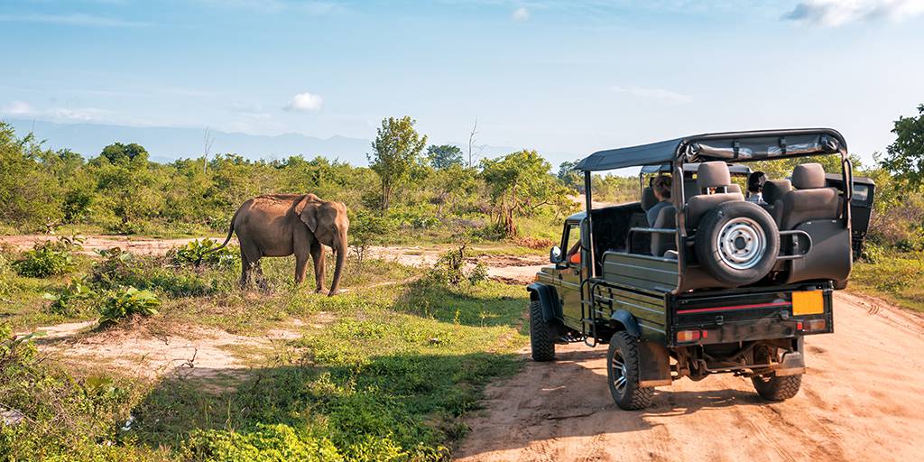Con nuestro viaje a Nairobi, Ambosseli, el Lago Navaisah y Masái Mara descubrirás a los Cinco Grandes de África en un safari por Kenia. 6