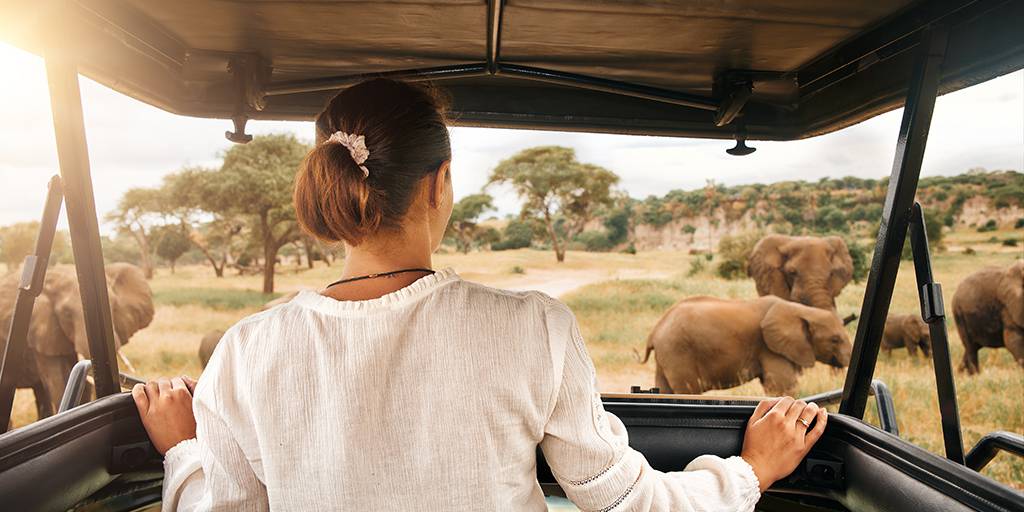 Con nuestro viaje a Nairobi, Ambosseli, el Lago Navaisah y Masái Mara descubrirás a los Cinco Grandes de África en un safari por Kenia. 3