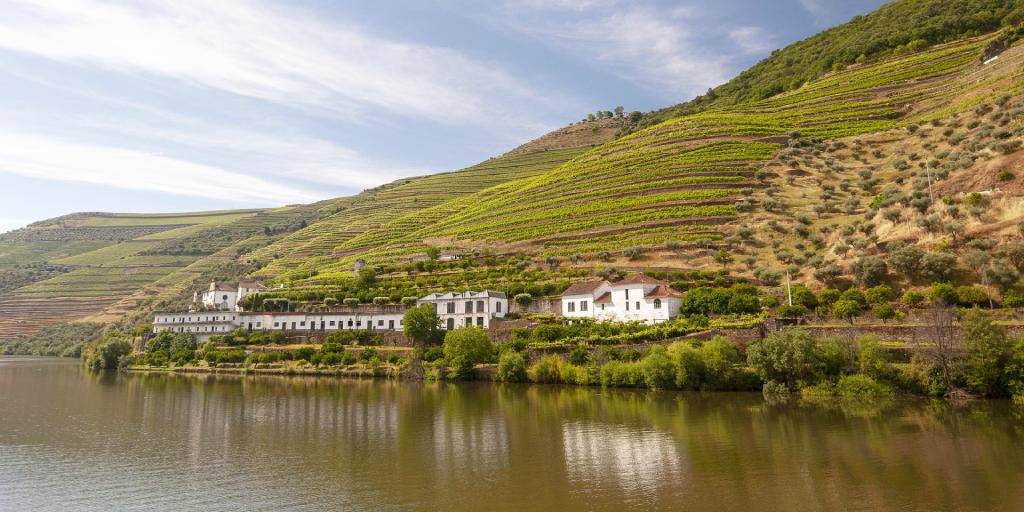 Con esta escapada de lujo en el Valle del Douro disfrutarás de los paisajes y vinos de la región. Hotel 4* y visita a la Quinta da Roêda. 7