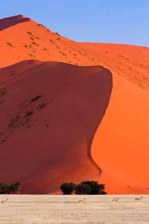 Imagen del viaje: Viaje a Namibia con desierto del Namib y Kalahari de 11 días