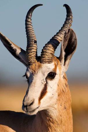 Imagen del viaje: Viaje express a Namibia de 8 días