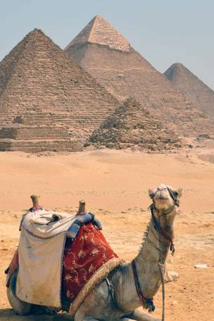 Imagen del viaje: Viaje a El Cairo, Luxor y Mar Rojo de 8 días