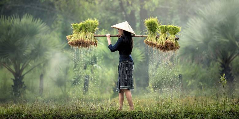 Viaje a Myanmar de 15 días