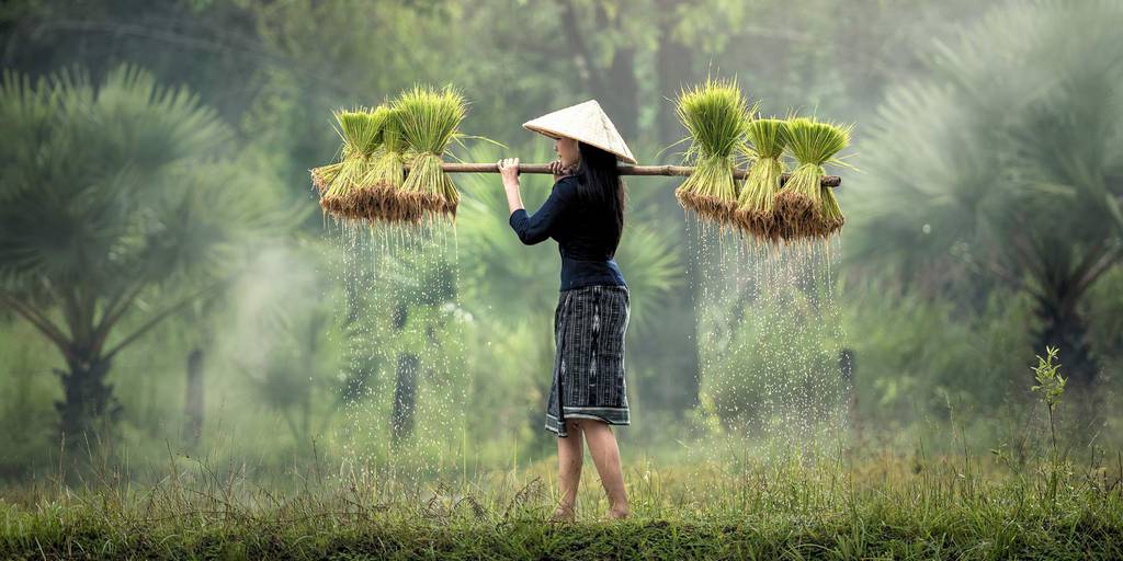 ¿Buscas un viaje que te deje sin aliento? Déjate sorprender por este viaje a Myanmar de 15 días y recorre el tesoro secreto de Asia. 1