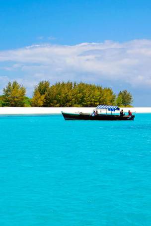Imagen del viaje: Viaje a Tanzania y Zanzíbar: 10 días de safari y playas