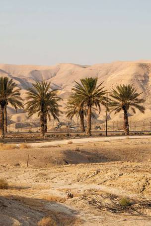 Imagen del viaje: Viaje a Tierra Santa y Jordania de 11 días