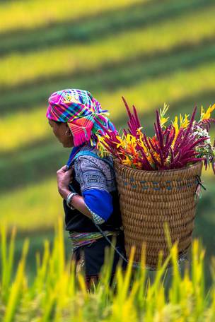 Imagen del viaje: Viaje en privado por Vietnam con Sa Pa en 12 días