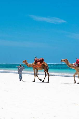 Imagen del viaje: Viaje a las playas de Kenia durante 10 días