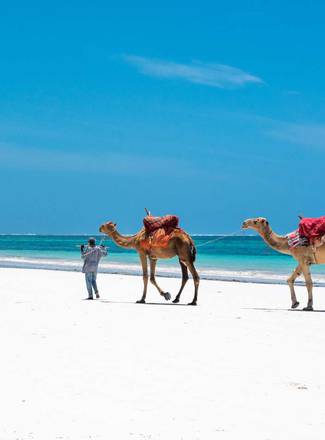 Imagen del viaje: 