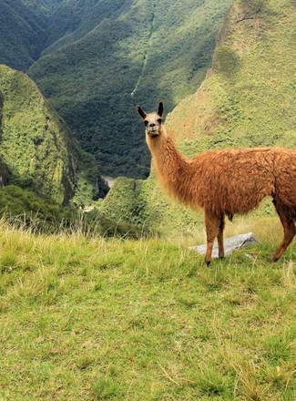 Imagen del viaje: 