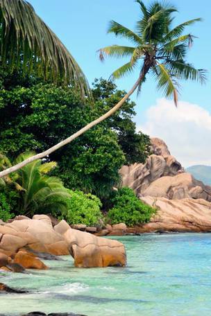 Imagen del viaje: Viaje de luna de miel a Seychelles en 9 días