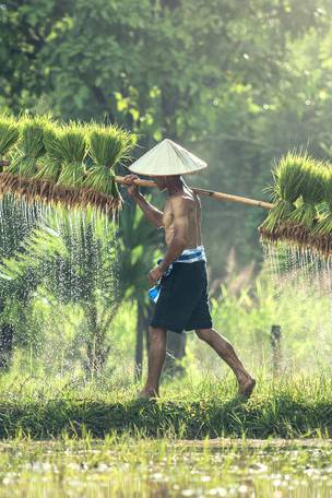 Imagen del viaje: Viaje privado a Vietnam de 12 días