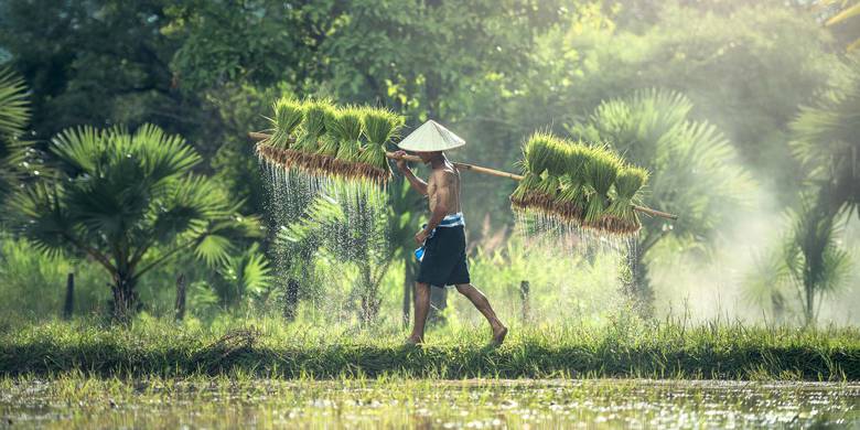 Viaje privado a Vietnam de 12 días