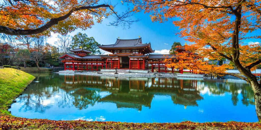 Descubre el Japón más tradicional mientras conoces la vibrante Tokio. Viaja entre las montañas hasta Hakone y recorre en barco el Lago Ashi. Finaliza tu viaje en Kioto, hogar de los ciervos sagrados. 2