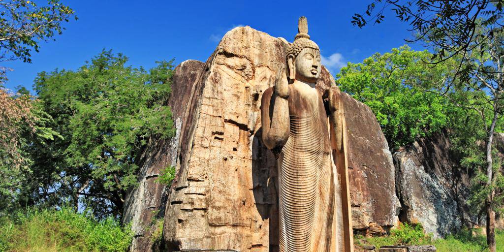 Nuestro tour por Sri Lanka de 11 días ofrece un viaje a la Esmeralda del Índico. Recorrerás ciudades coloniales, budistas y medievales. 3