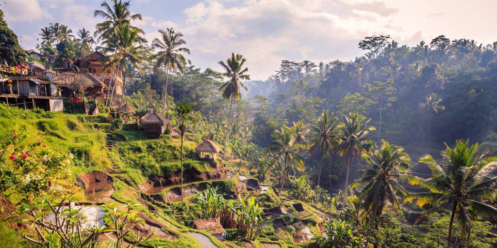 Viaja a Bali para descubrir la mística Ubud y disfrutar de las playas del sur. Con este viaje podrás meditar entre templos hinduistas, explorar bosques tropicales y tomar un baño en exclusivas playas. 5