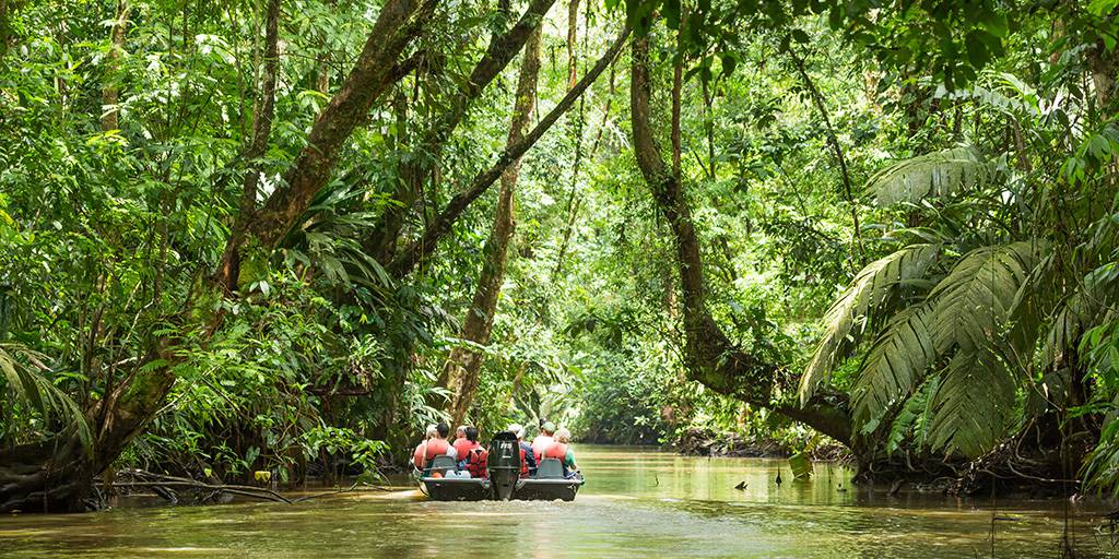 Pura vida te está esperando con nuestro viaje a Costa Rica de 10 días. Estas vacaciones te llevarán a los parques naturales más fascinantes. 2