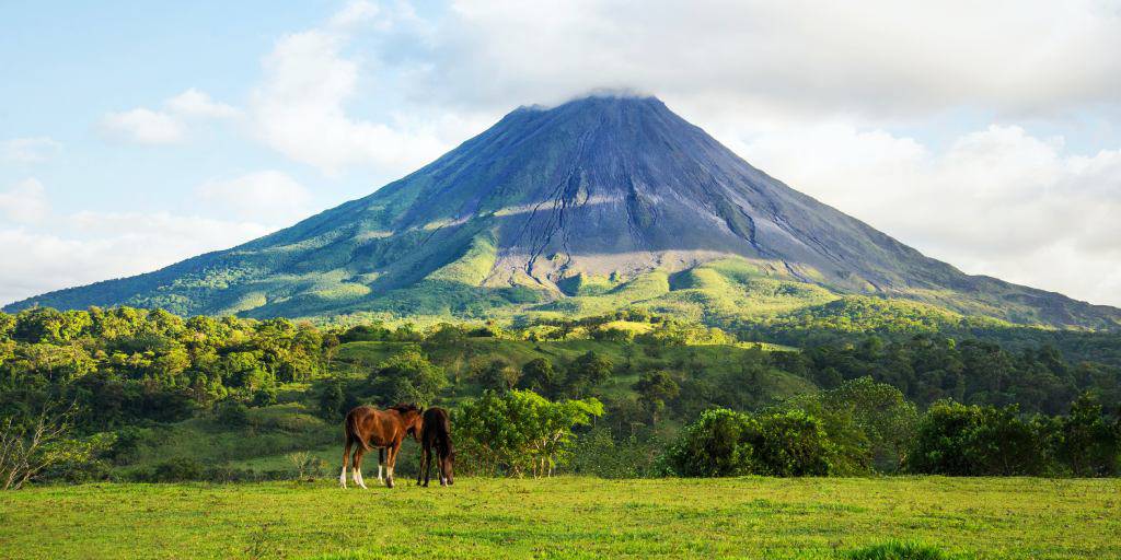 Pura vida te está esperando con nuestro viaje a Costa Rica de 10 días. Estas vacaciones te llevarán a los parques naturales más fascinantes. 4