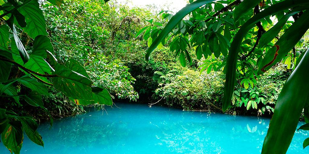 ¿Eres un amante de la naturaleza y la aventura? Entonces no puedes perderte nuestro tour de 10 días por Costa Rica, un auténtico paraíso. 4