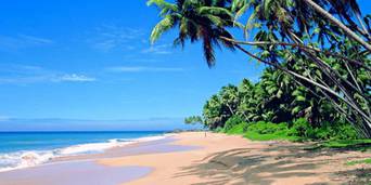 Circuito por India con playas de Goa en 11 días