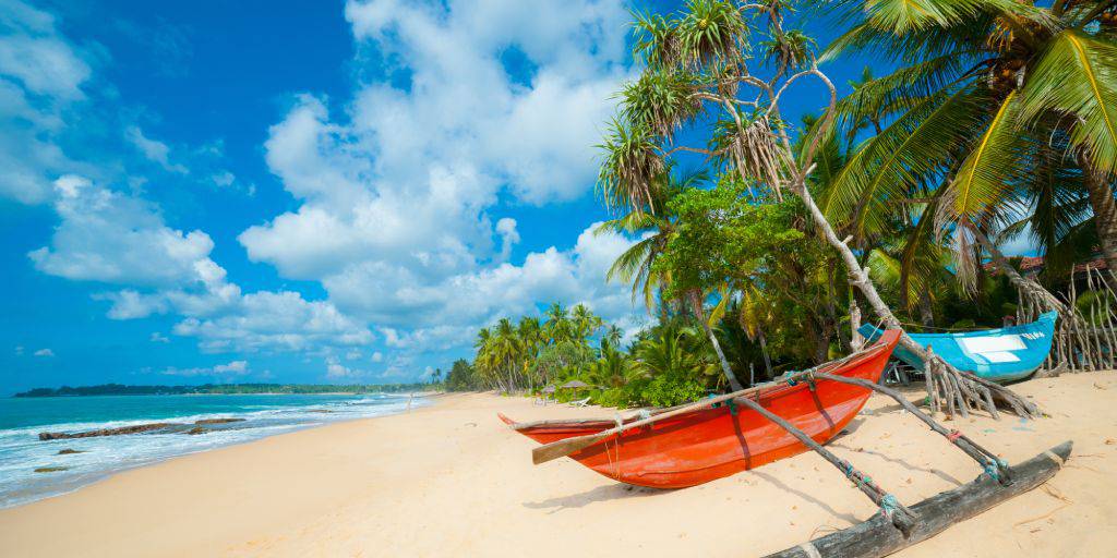 ¿Deseas unas vacaciones de ensueño que ofrezcan mar, montaña y cultura? Entonces este circuito por Sri Lanka de 12 días es para ti. 6