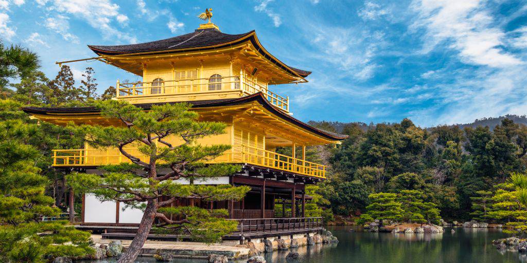 Enamórate del país nipón con nuestro viaje organizado a Japón. Durante 13 días, visitarás templos únicos, barrios fascinantes y mucho más. 6