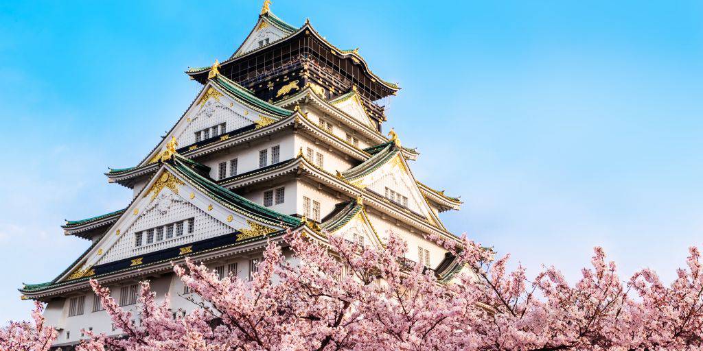 Enamórate del país nipón con nuestro viaje organizado a Japón. Durante 13 días, visitarás templos únicos, barrios fascinantes y mucho más. 1
