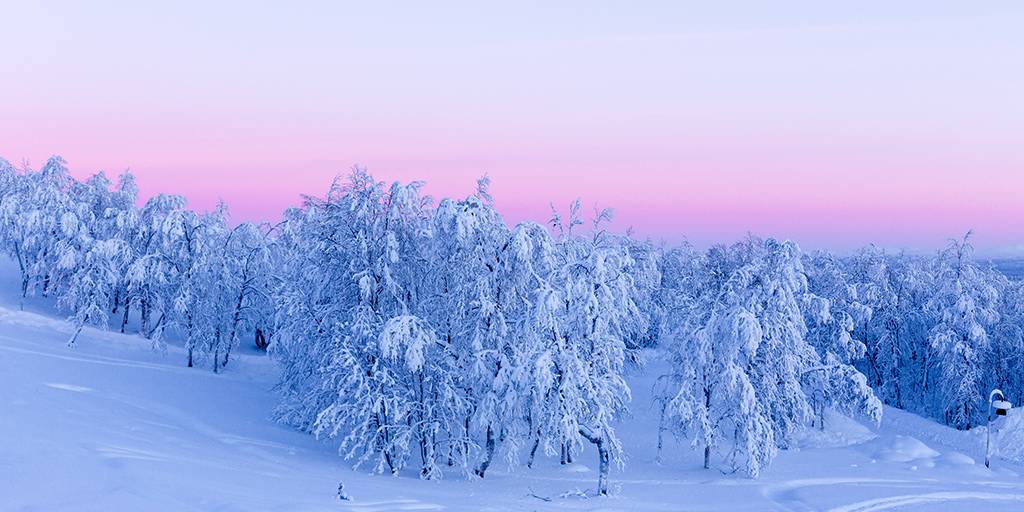 Con esta escapada a la Laponia sueca con auroras boreales y samis podremos disfrutar al máximo de la cultura tradicional. Hotel-cabaña y vuelos. 5