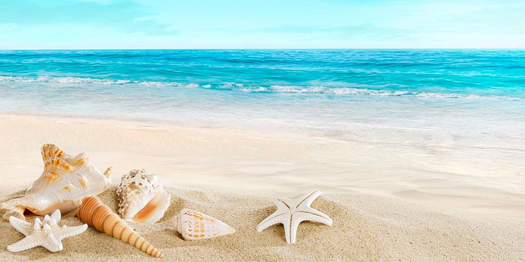 Con estas vacaciones en Playa del Carmen podrás disfrutar de lo mejor de la Riviera Maya de Cancún: relax, buceo, cultura y mucho más. 5