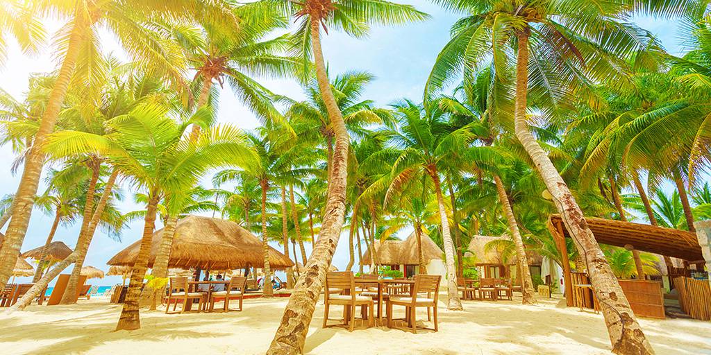 Relájate con un viaje a Playa del Carmen con todo incluido. Disfruta de las playas paradisíacas y ambiente tropical en una de las mejores playas de México. 3