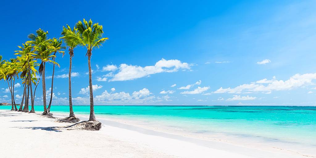 ¿Deseas unas vacaciones de ensueño, rodeado de playas y naturaleza? Disfruta con nuestro viaje a Punta Cana de 8 días en un hotel de 5*. 1