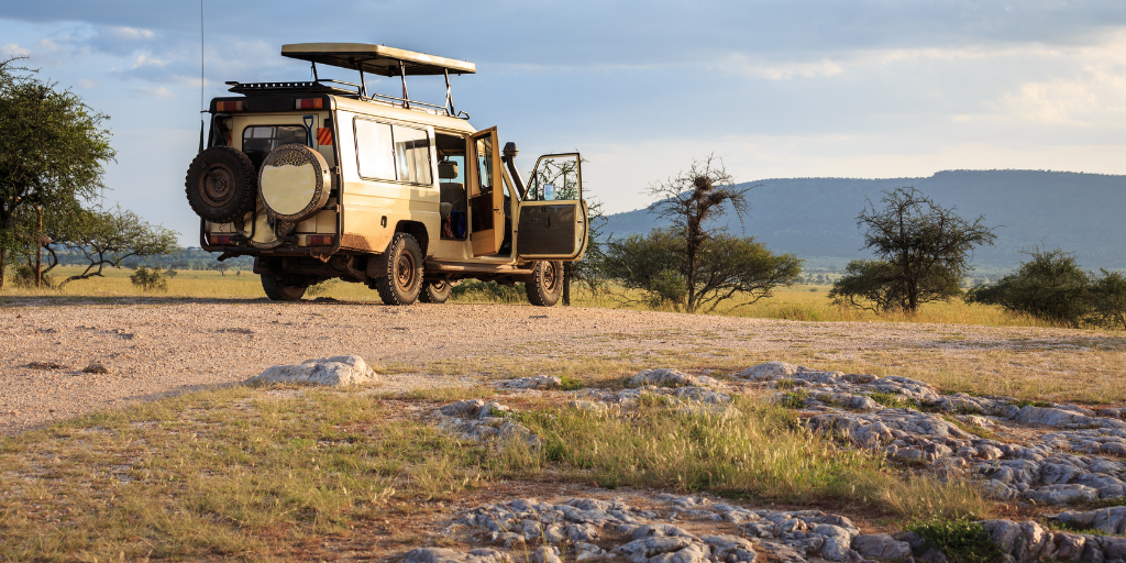 Vive una luna de miel de aventura y serenidad. Disfruta tu viaje de novios con safari en Tanzania y playas turquesas en Zanzíbar. 4