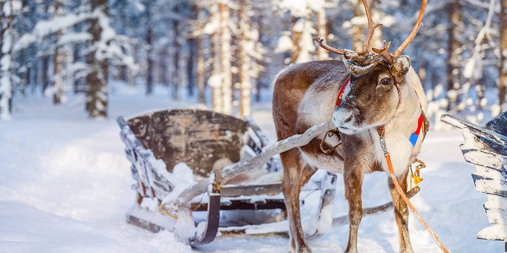 Este viaje a Finlandia con Papá Noel en diciembre te llevará en plena navidad al lugar más mágico de Laponia: la villa de Santa Claus. 5