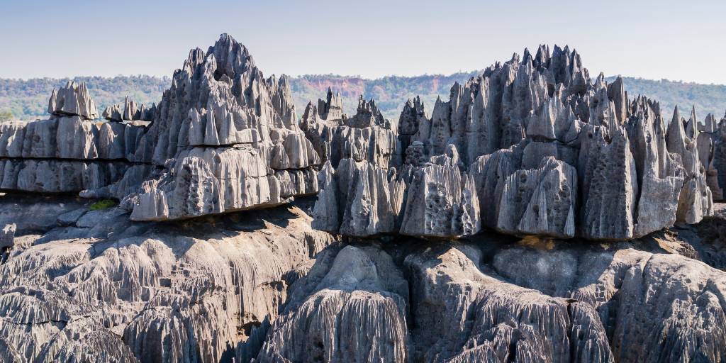 En este viaje organizado a Madagascar conocemos Bekopaka, Modorava, Antsirabe y los parques nacionales de Ranomafana e Isalo, donde veremos baobabs y lémures. Además descubrimos las playas de Ifaty. 5