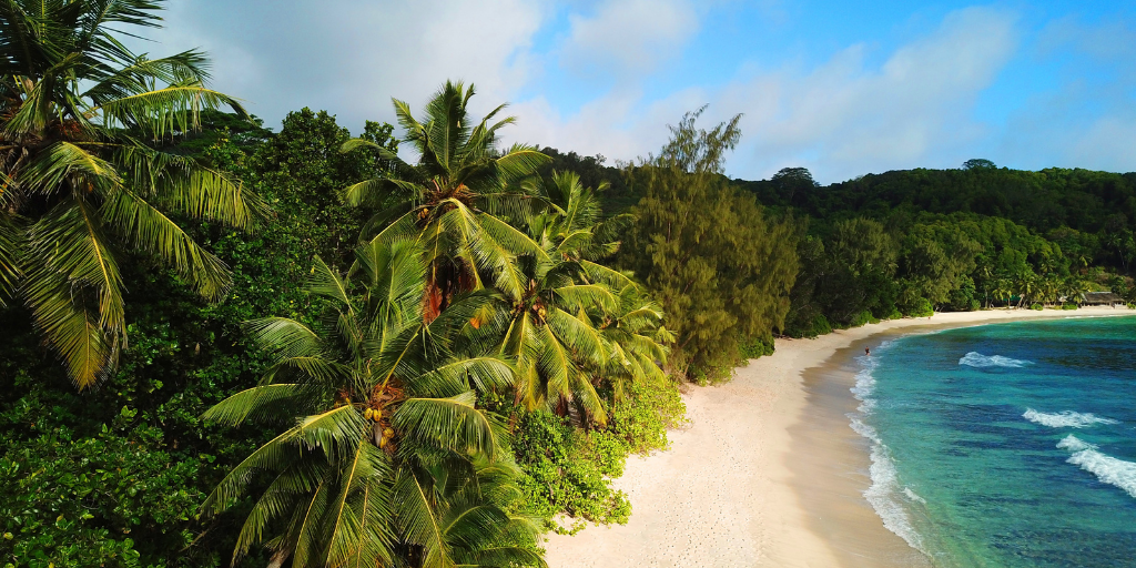 Viajes de novios a Seychelles. Celebra tu luna de miel en playas paradisíacas y rodéate de naturaleza virgen. 5