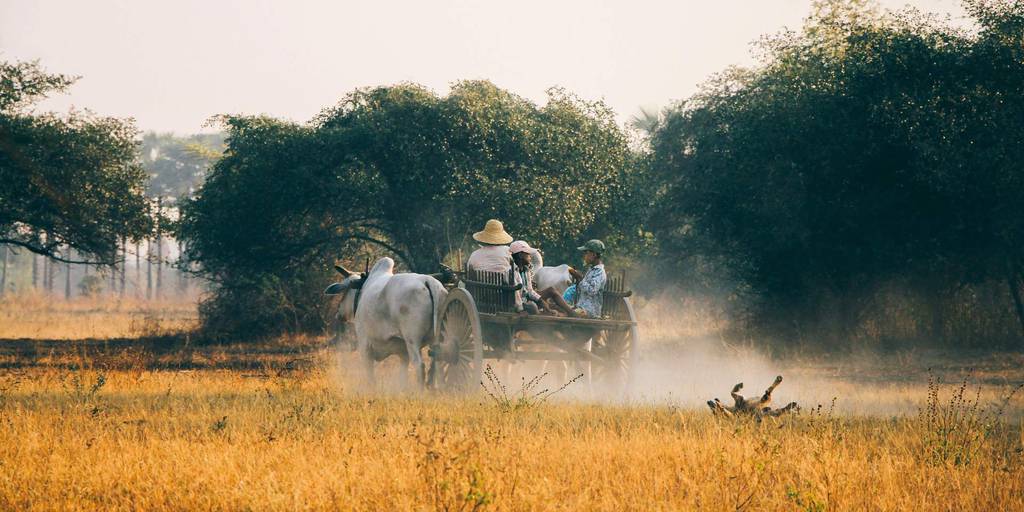 Pon a prueba tus sentidos con este tour por lo mejor de Myanmar de 12 días. Podrás recorrer uno de los países más vírgenes de Asia. 6