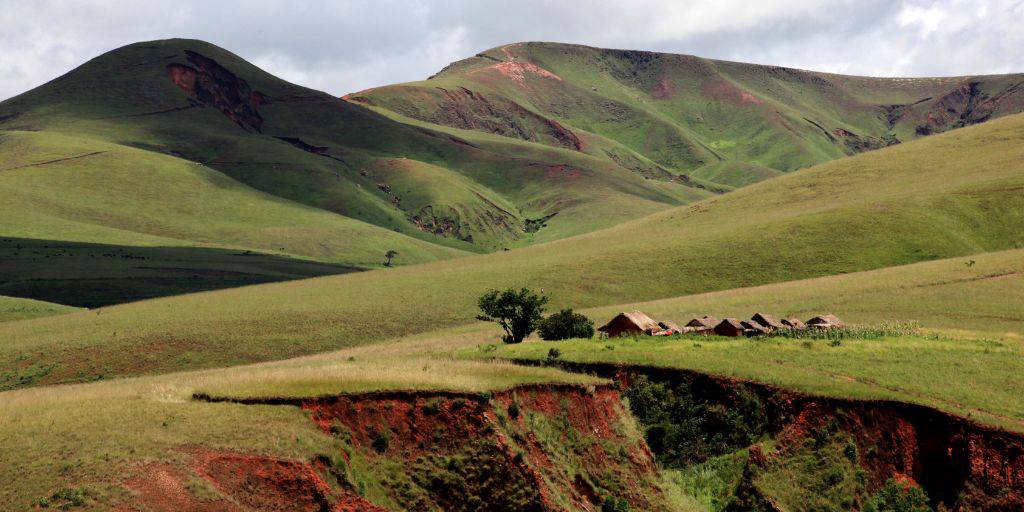 Un viaje a Madagascar es un mundo natural por descubrir. Explora Antananarivo, Morondava y las Reservas de Kirindy, Reniala e Isalo. Un viaje para observar lémures y árboles de baobabs. 2